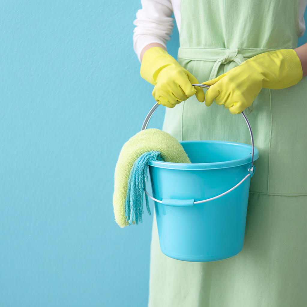 Leo's Luxe Cleaning Services